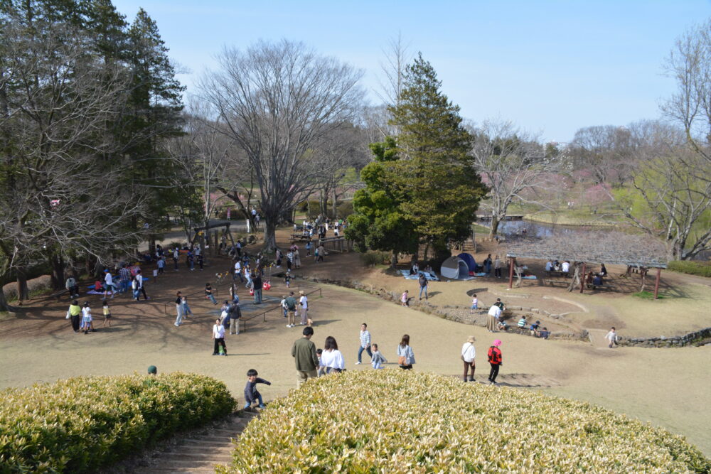 古河公方公園の富士見塚からの景色