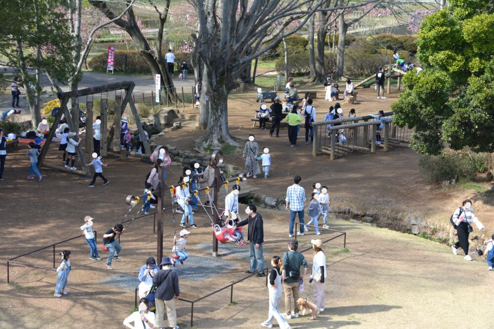 古河公方公園の富士見塚からの景色