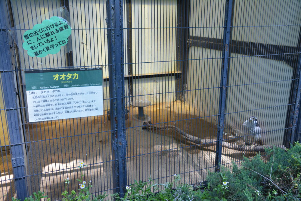 大崎公園の子供動物園