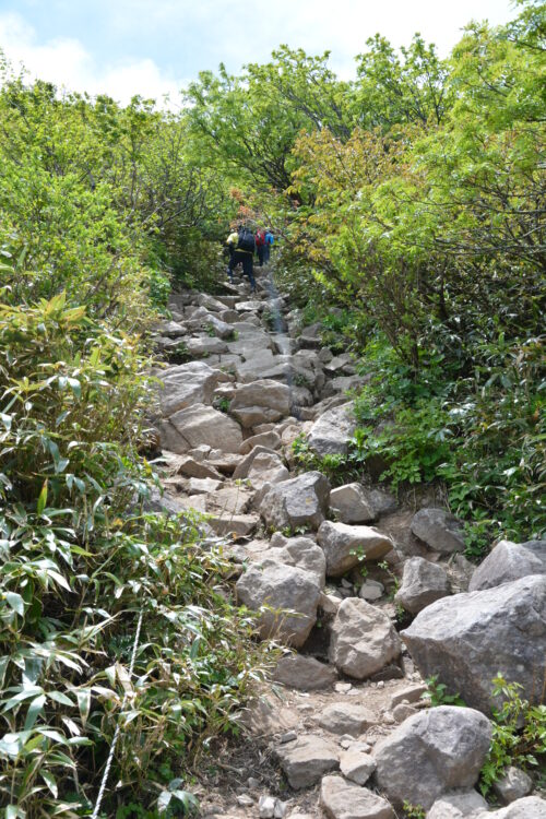 磐梯山の登山道