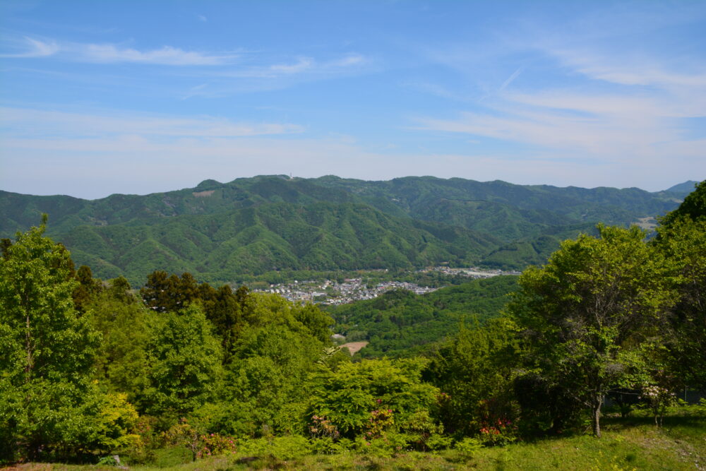 宝登山山頂から眺める長瀞の街