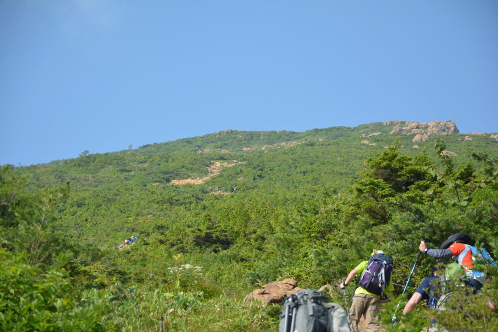 至仏山の登山道