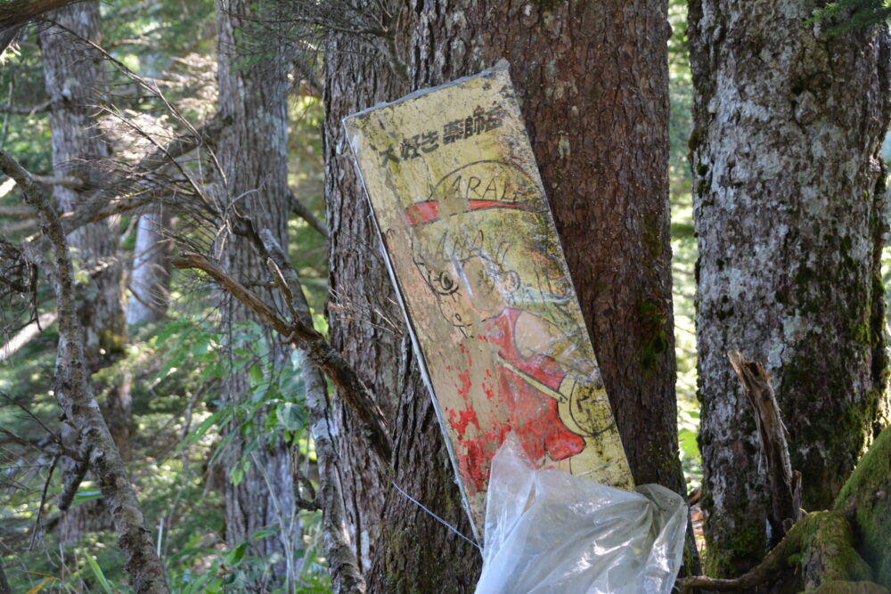 薬師岳登山道の有名なアラレちゃんの看板