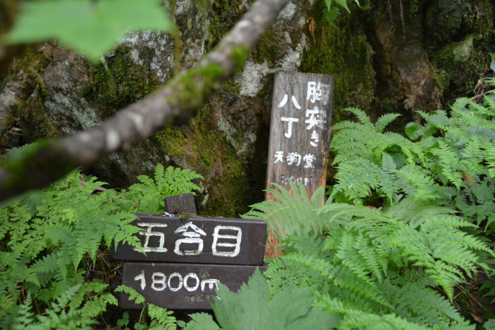 妙高山の登山標識
