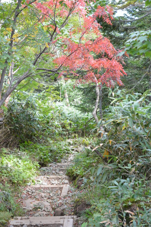 燧ヶ岳の紅葉と登山道