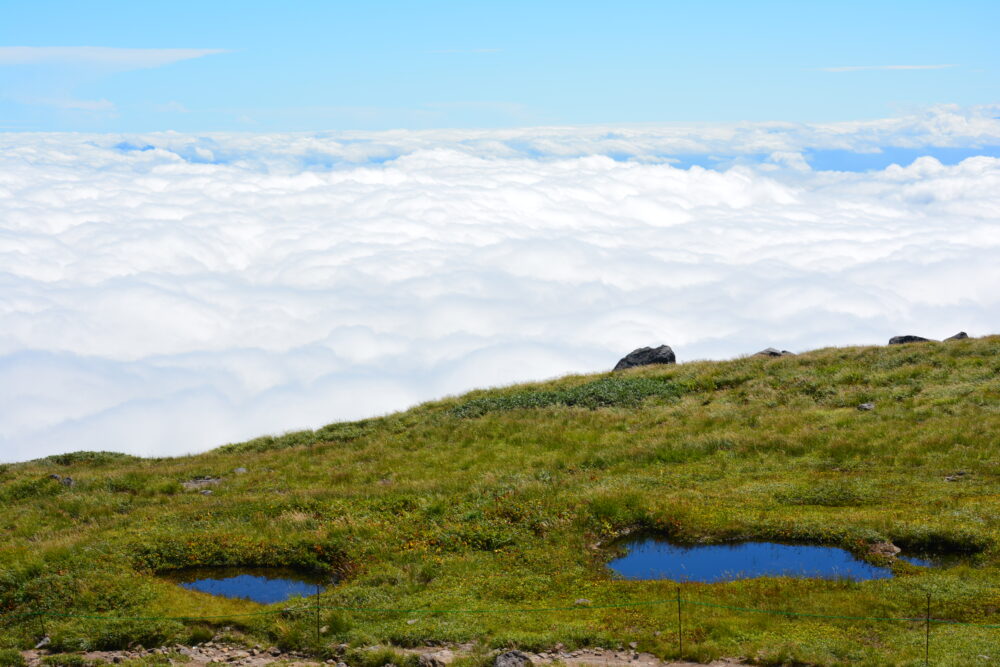 月山山頂の池塘と雲海