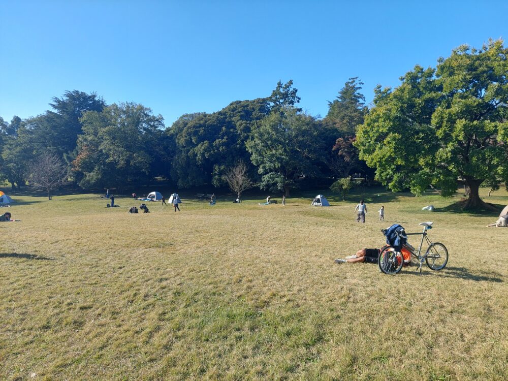 所沢航空記念公園の芝生の丘