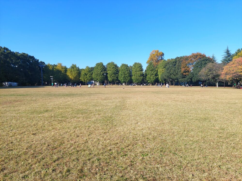 所沢航空記念公園の芝生広場