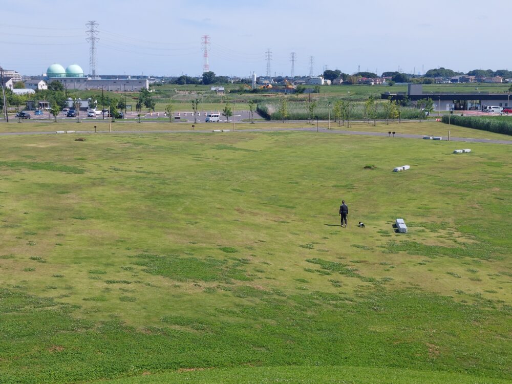 春日部夢の森公園・北園の芝生広場