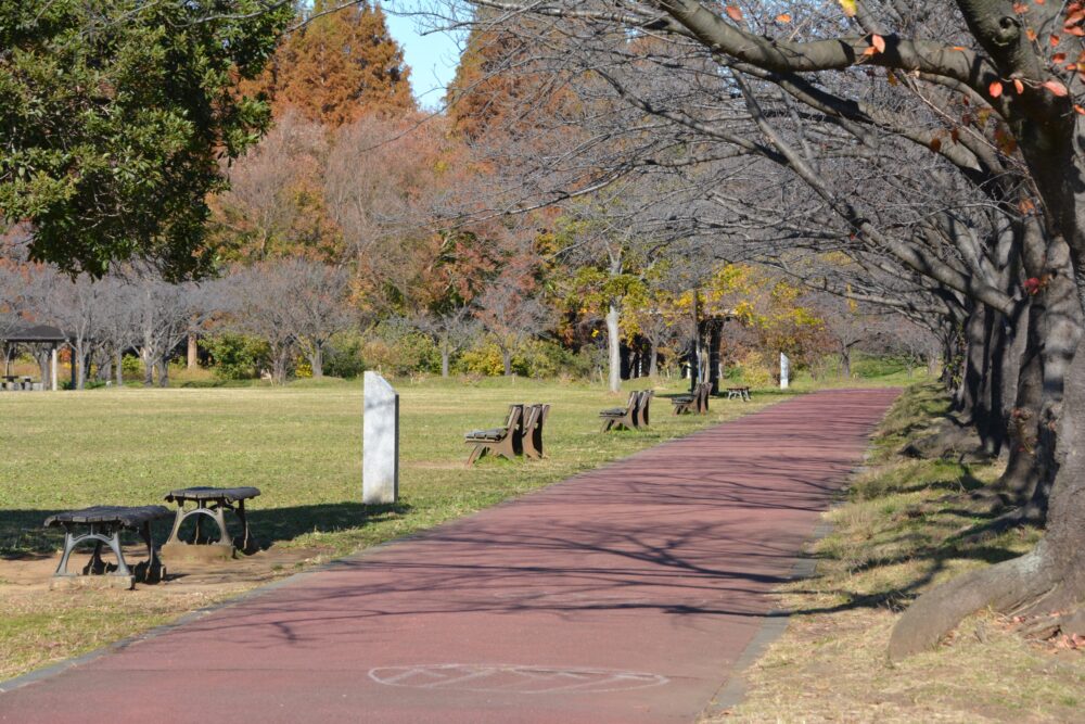 みさと公園の自由広場（芝生広場）にあるベンチ