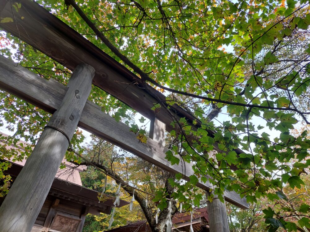 武甲山山頂の鳥居