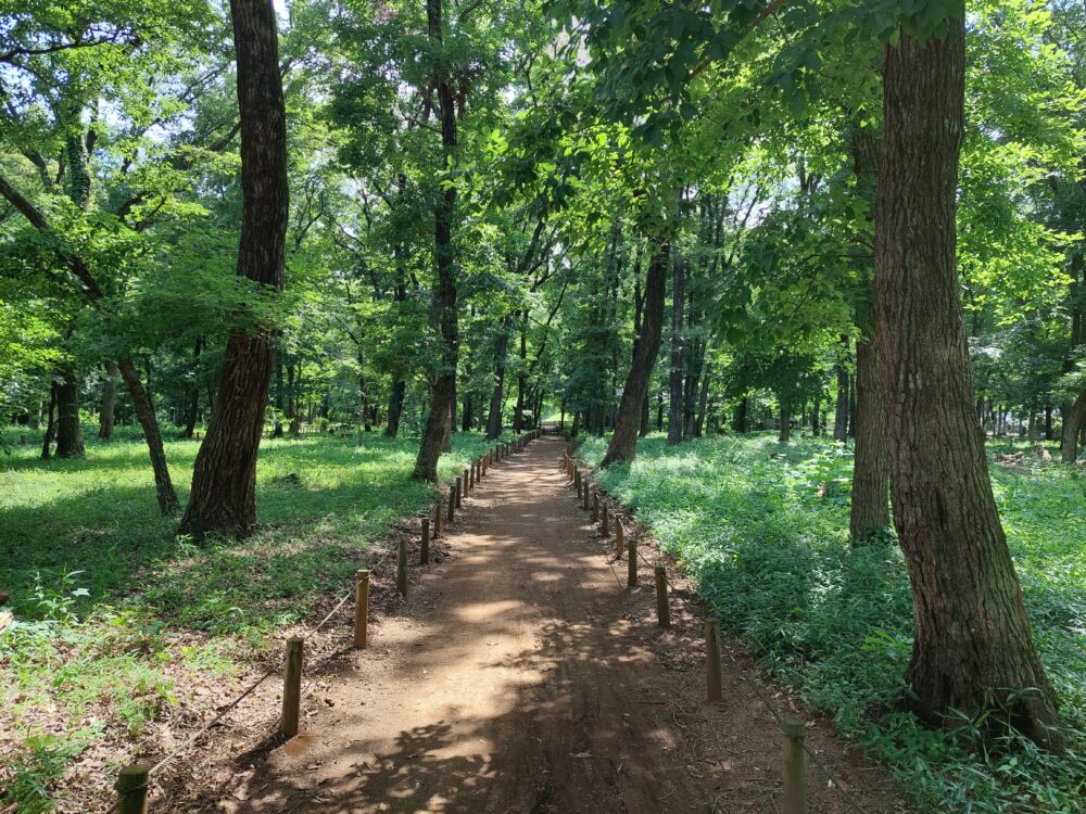 三芳町の緑地公園