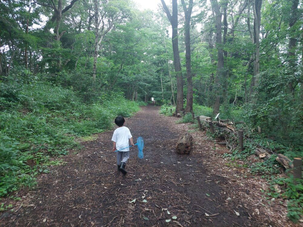 雑木林で虫取りをする子供