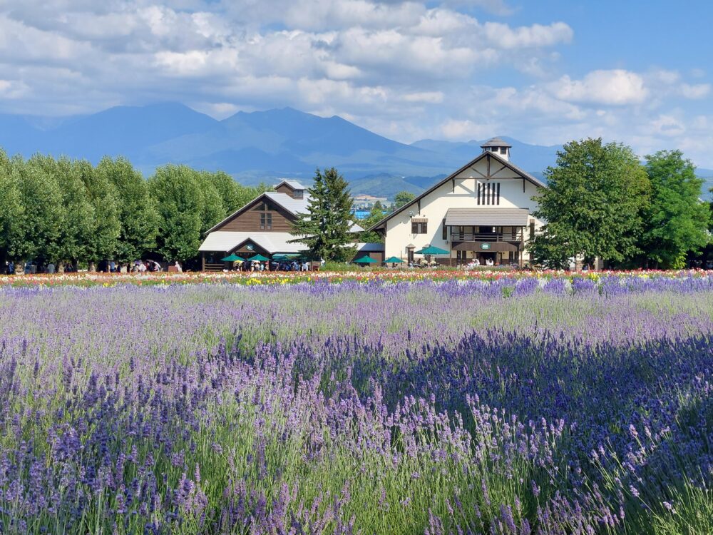 ファーム富田の風景