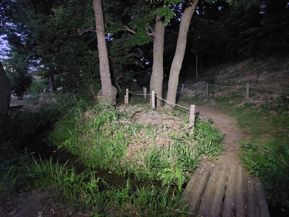石井緑地公園（どんぐり山）のせせらぎと雑木林