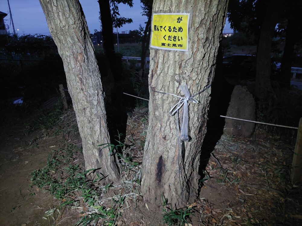 石井緑地公園（どんぐり山）の樹液が出ているクヌギの木にあるスズメバチ注意の看板