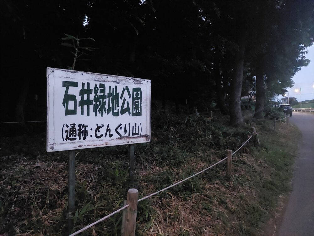 夕方の石井緑地公園（どんぐり山）