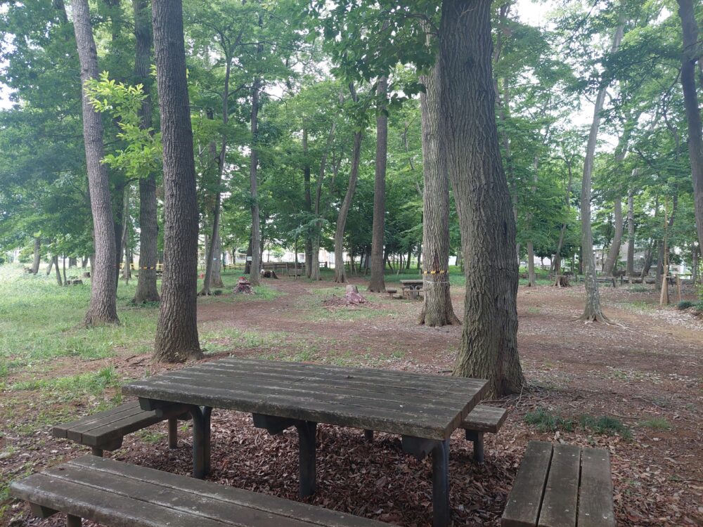 南中丸緑地公園のクヌギ林（雑木林）とベンチ・テーブル