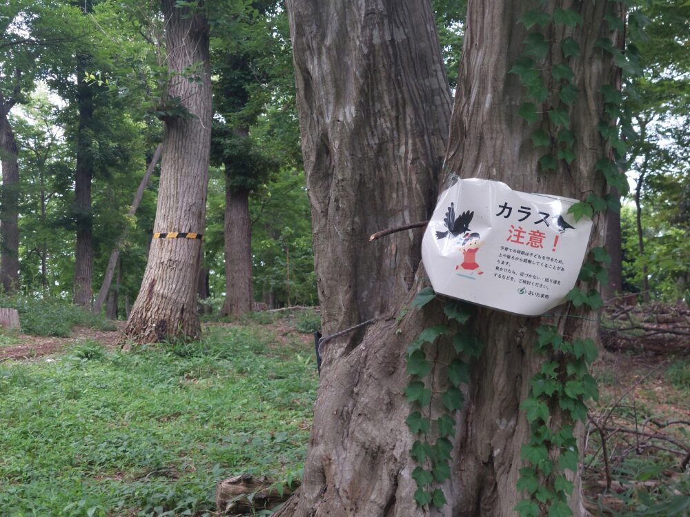 南中丸緑地公園のカラスに注意の看板