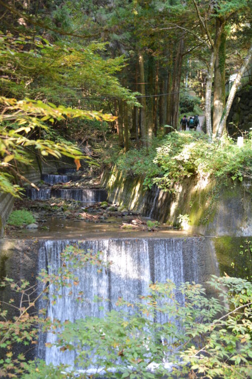 武甲山登山道の脇に流れるせせらぎ