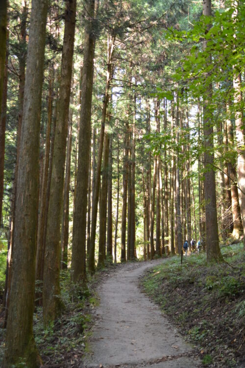 武甲山登山道