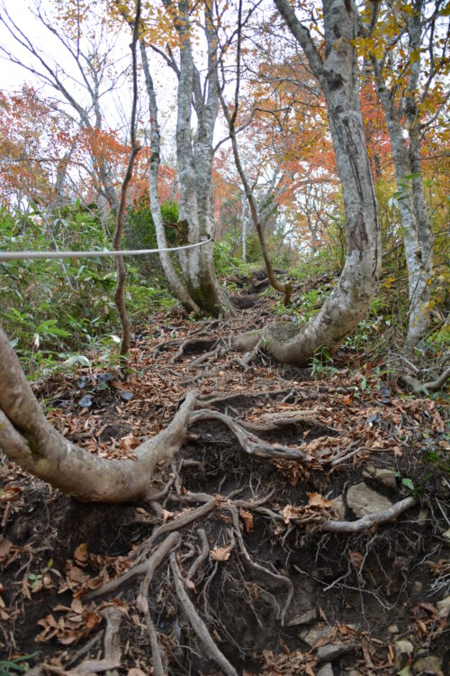 紅葉時期の高妻山の登山道