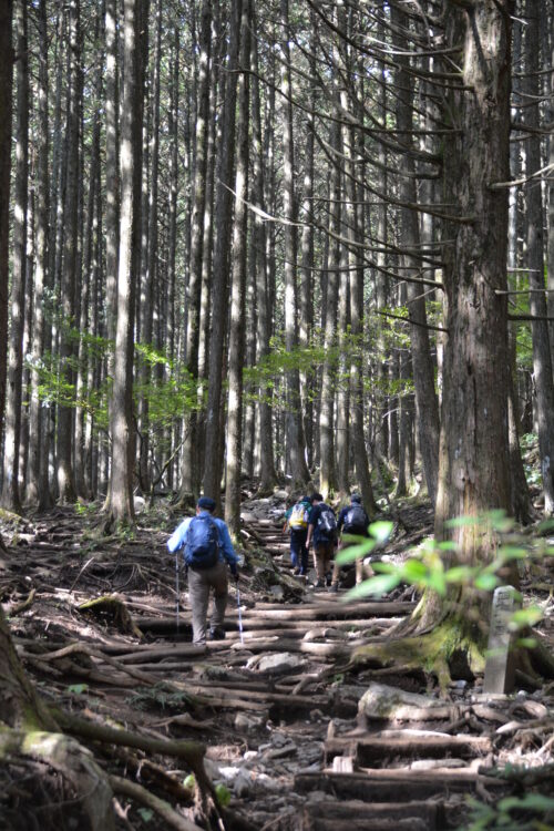 武甲山登山道