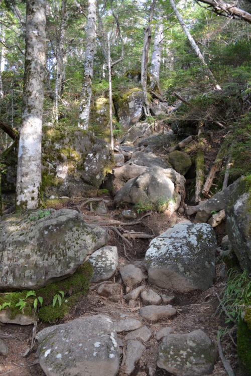 編笠山の登山道