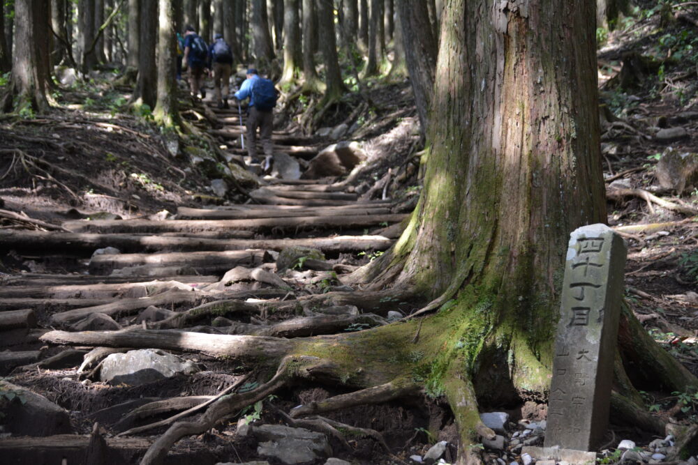 武甲山登山道