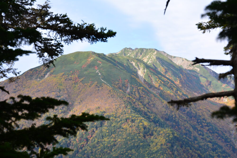 甲斐駒ヶ岳の登山道から見た仙丈ヶ岳