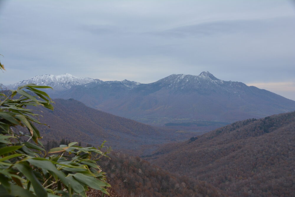 高妻山から見た妙高山と火打山