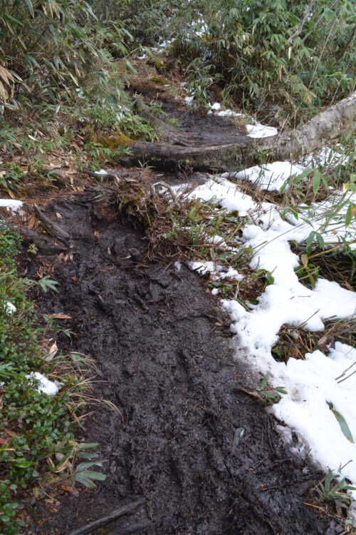 ぬかるんだ高妻山の登山道