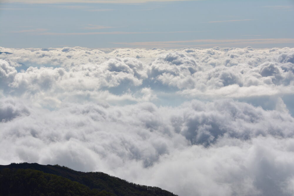 編笠山山頂から見た雲海