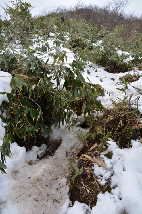 雪の高妻山の急登