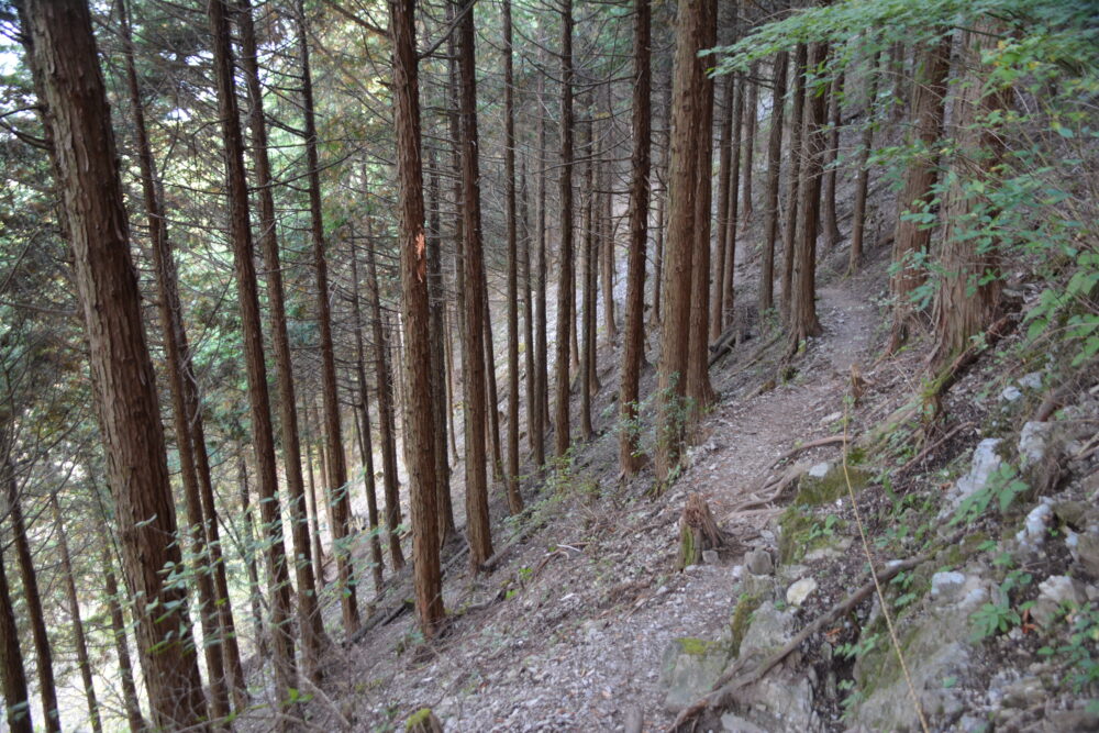 武甲山の登山道