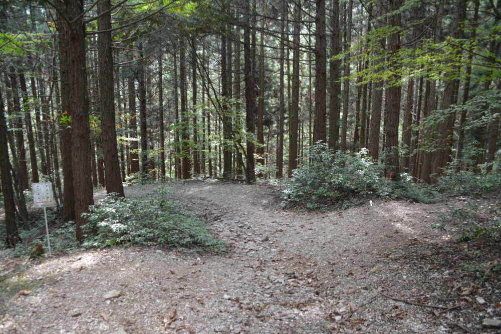 武甲山の登山道