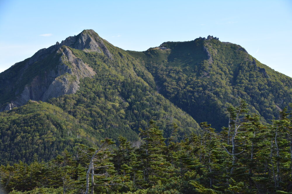 編笠山の山頂から見たギボシと権現岳