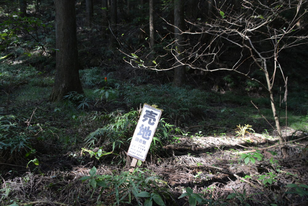 武甲山の売地