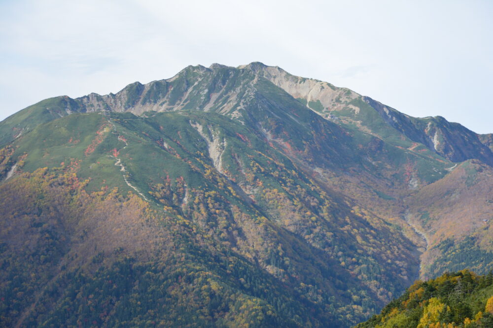 紅葉の仙丈ヶ岳の山頂