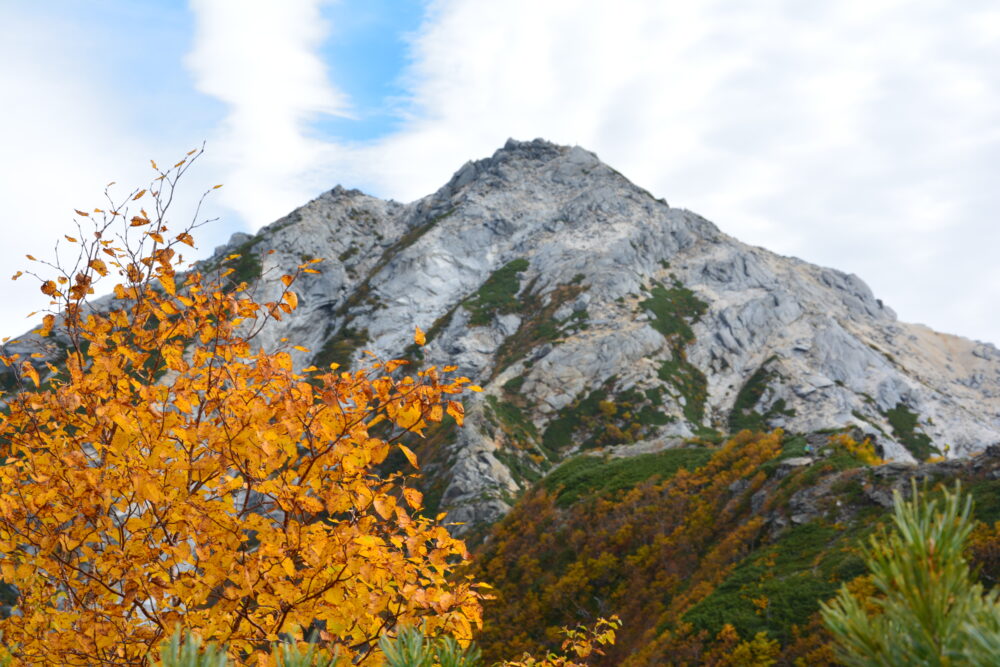 駒津峰から見た紅葉と甲斐駒ヶ岳山頂