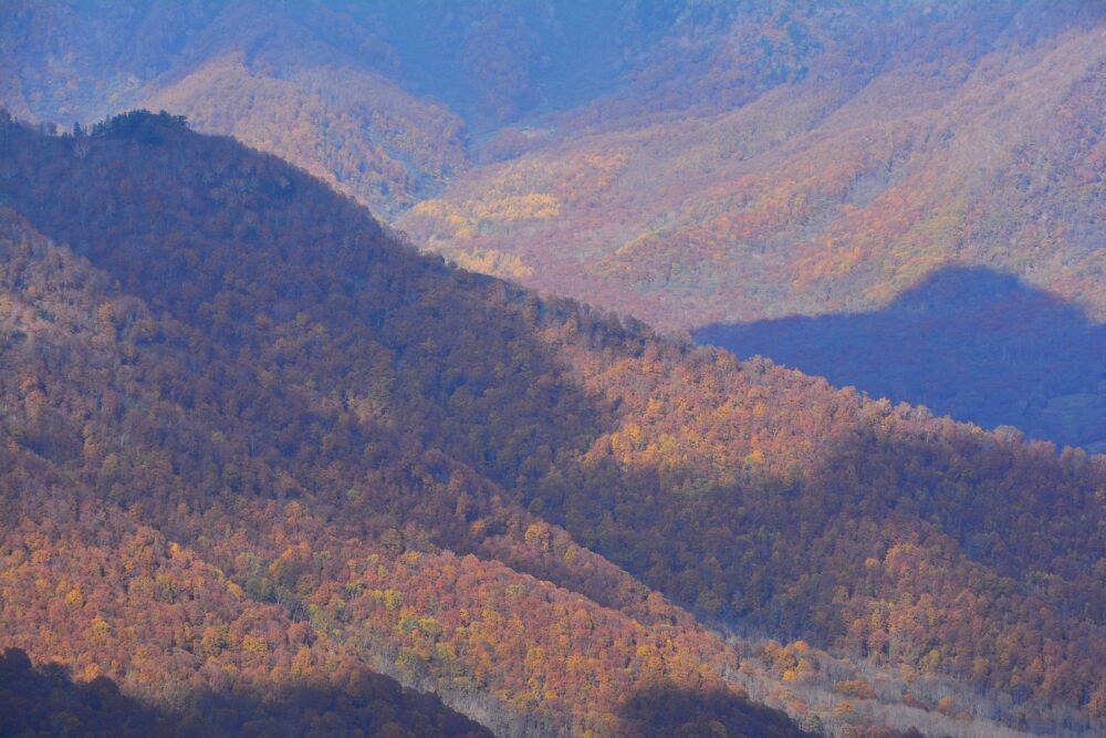 高妻山から見た山麓の紅葉