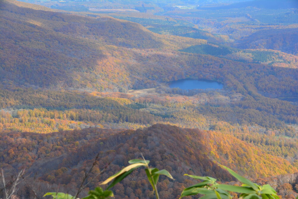 高妻山から見た山麓の紅葉