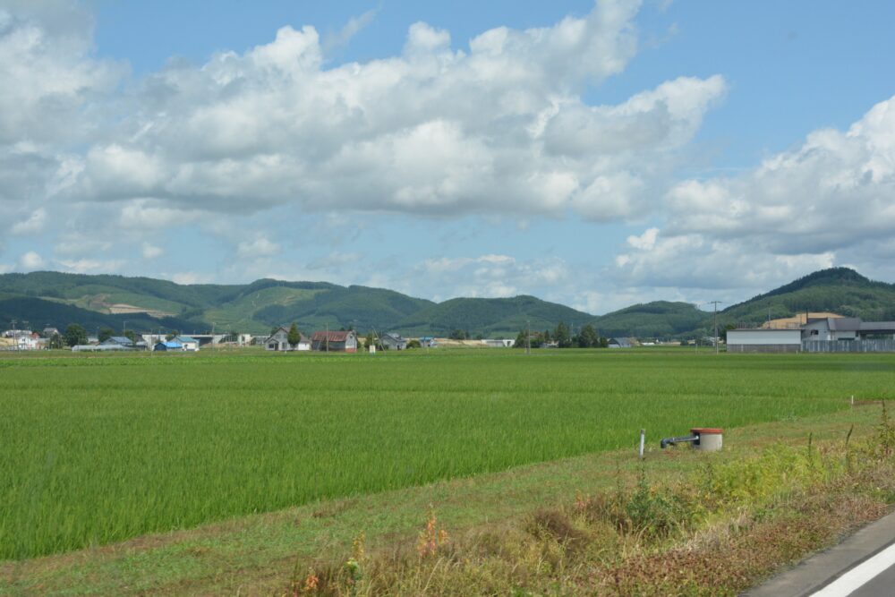 富良野の田園風景