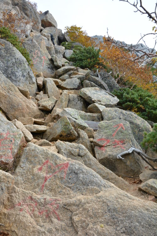 甲斐駒ヶ岳の直登ルートと巻き道ルートの分岐