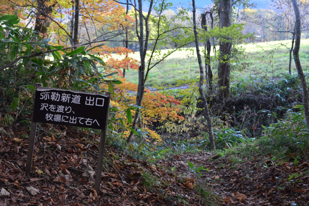 高妻山弥勒新道出口