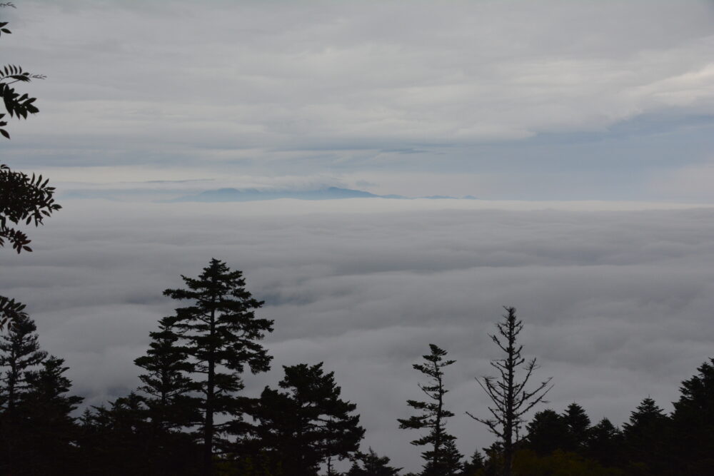 鳳凰山から見た雲海
