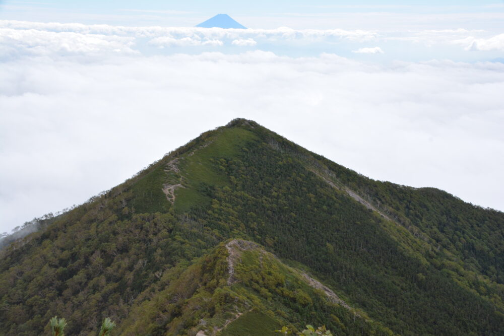 権現岳から見た三ツ頭と富士山