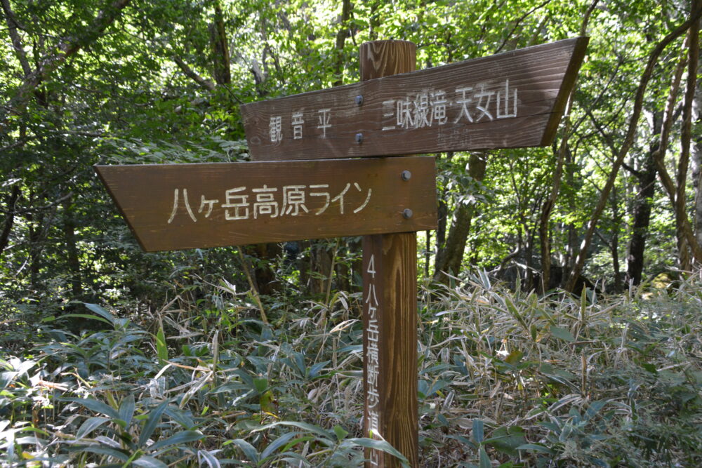 権現岳の登山標識