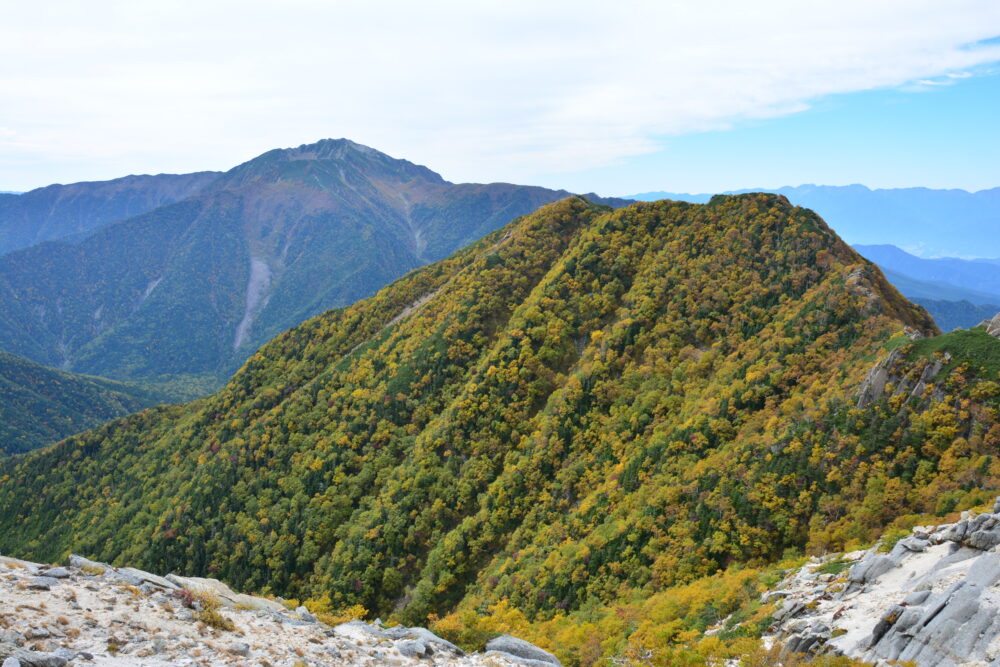 黄葉の駒津峰と仙丈ヶ岳