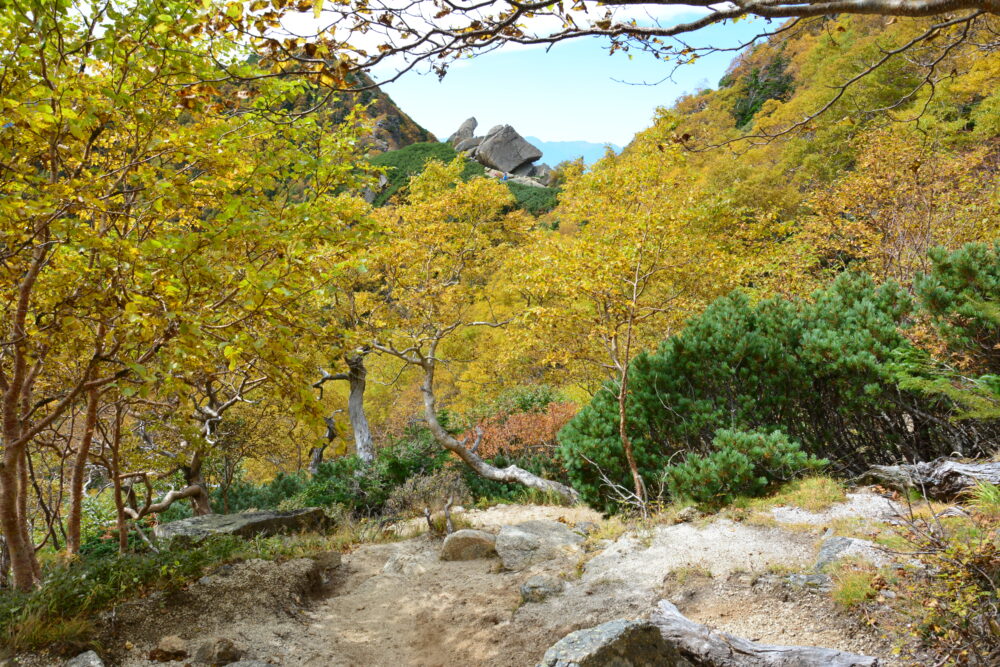 甲斐駒ヶ岳の黄葉